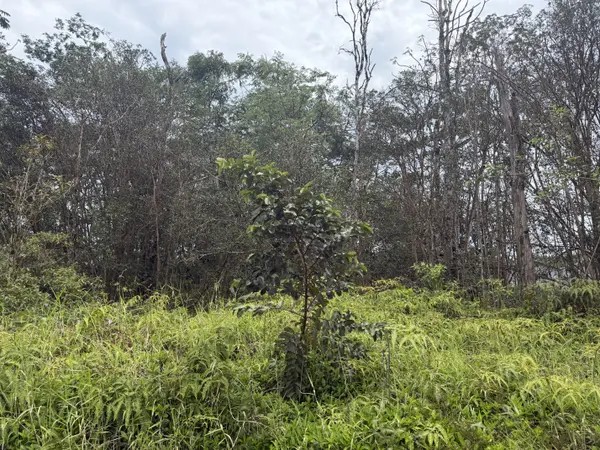 16-2033 SANDALWOOD CT, Kurtistown, HI 96760