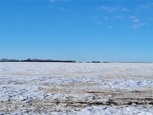 Rural Address, Blucher Rm No. 343, SK S0K 0Y0