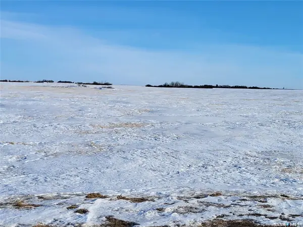 Rural Address, Blucher Rm No. 343, SK S0K 0Y0