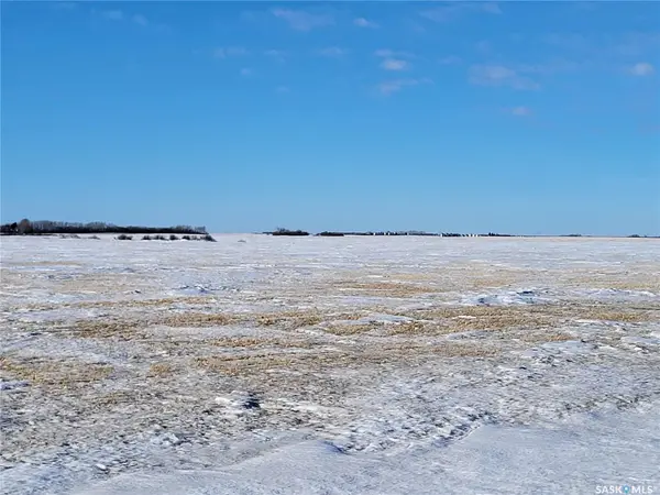 Rural Address, Blucher Rm No. 343, SK S0K 0Y0