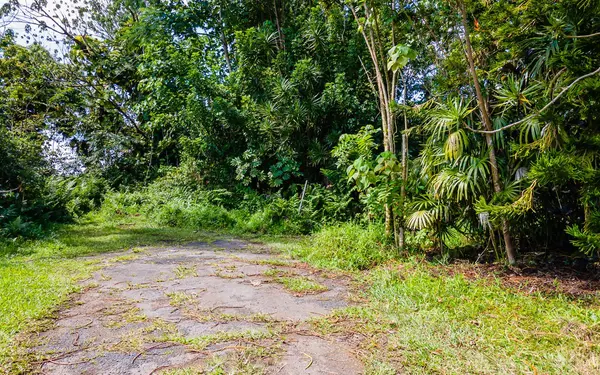 KEKAUONOHI ST, Pahoa, HI 96778