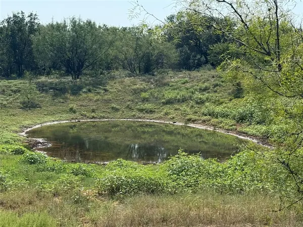 0000 Proffitt Road, Newcastle, TX 76372