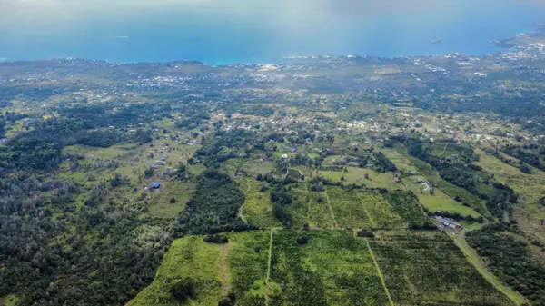 76-1302 WAIONO RANCH RD #1, Holualoa, HI 96725