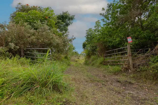 76-1302 WAIONO RANCH RD #1, Holualoa, HI 96725