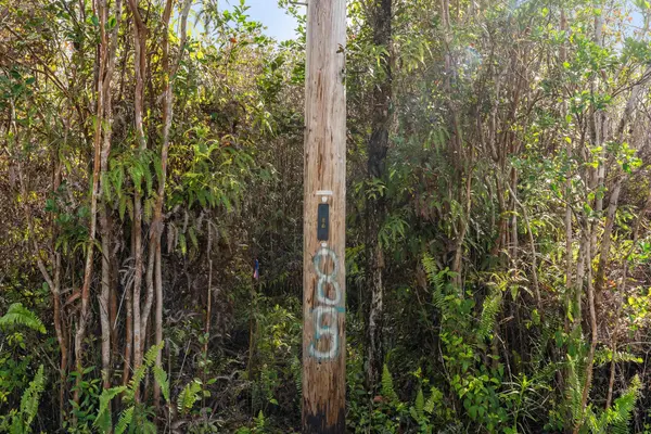 LEHUA ST, Mountain View, HI 96771