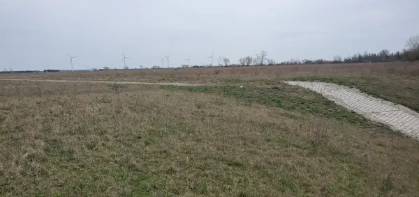 13 IRENE CRES, Bluewater, ON N0M 2T0