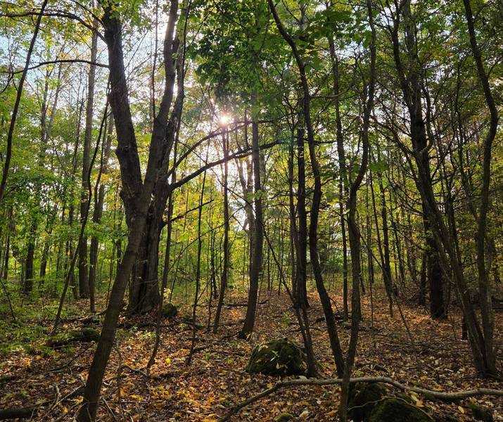 N/A Simpson N/A, Grey Highlands, ON N0C 1E0