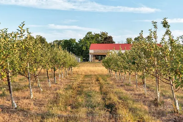 890 Danforth RD, Prince Edward County, ON K0K 2J0