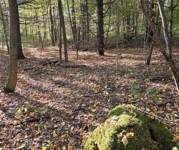 N/A Simpson N/A, Grey Highlands, ON N0C 1E0