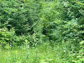 LOT 5 GEORGES RD, Bonfield, ON P0H 1E0