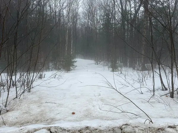 0 Stoney RD, Burk's Falls, ON P0A 1C0