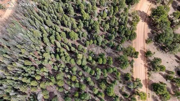 2151 N Mountain Estates RD, Florissant, CO 80816