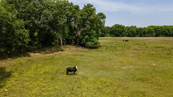 0 FM 314, Brownsboro, TX 75756