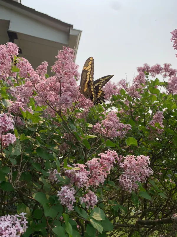 1053 Mitchell RD, Lanark Highlands, ON K0G 1K0