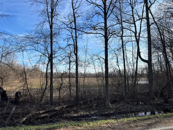 10 Acres Vacant Land Vernor RD, Mayfield Township, MI 48446