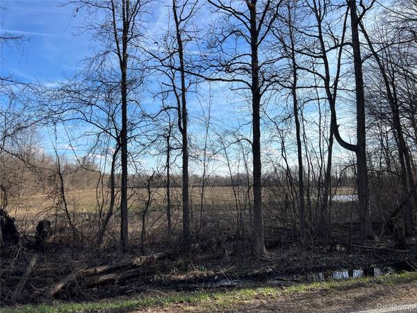 10 Acres Vacant Land Vernor RD, Mayfield Township, MI 48446