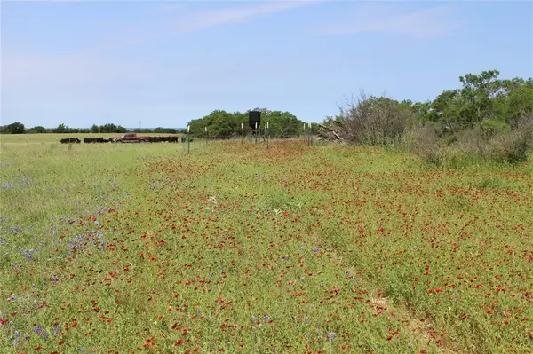 9999 County Road 334, Blanket, TX 76432