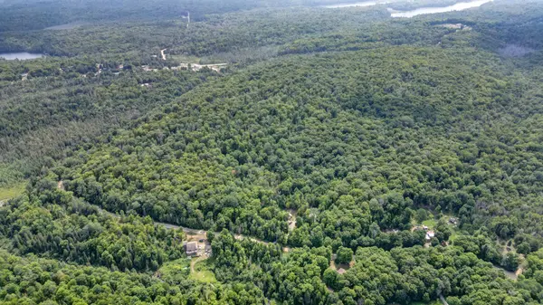 2884 Old Hastings RD, Limerick, ON K0L 1P0