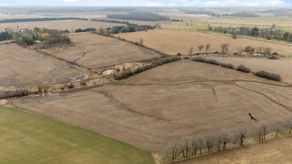 16376 Elginfield RD, Lucan Biddulph, ON N0M 2P0