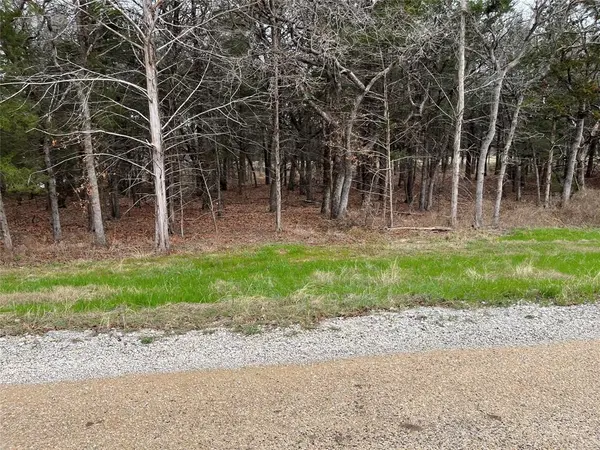 Lot 19 Cedar Springs Drive, Decatur, TX 76234