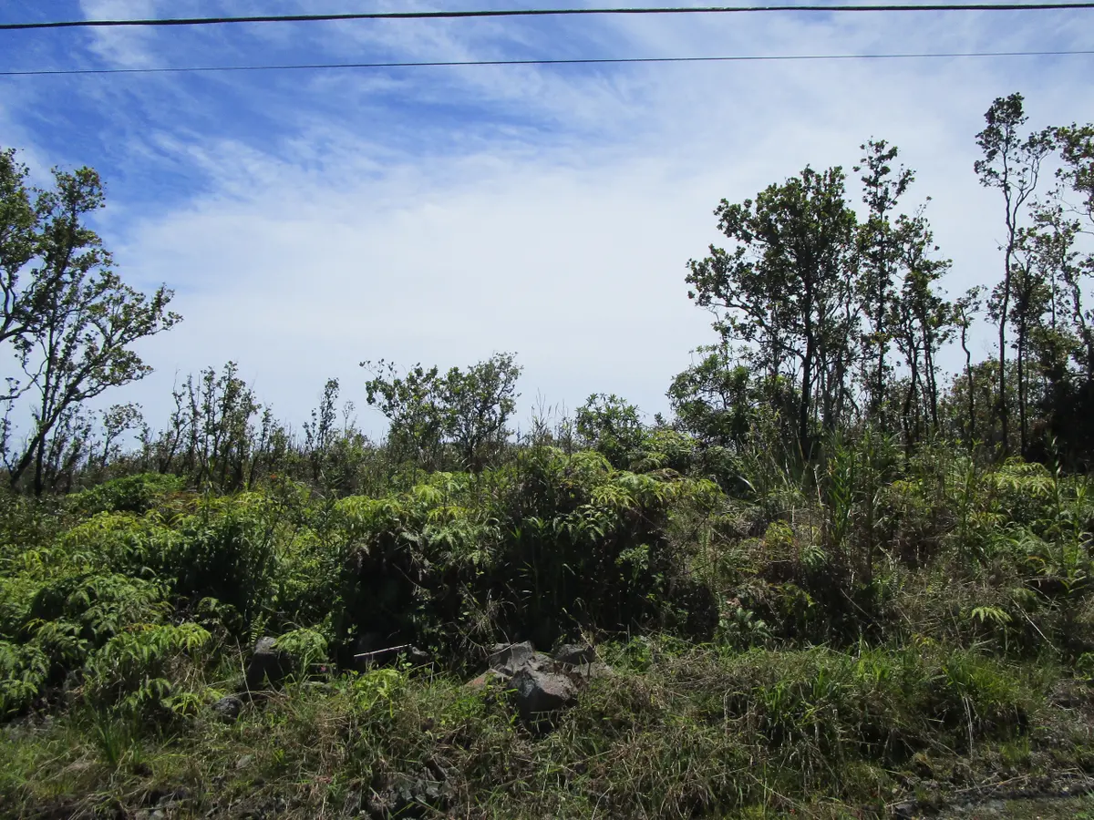 OHIALANI RD, Volcano, HI 96785