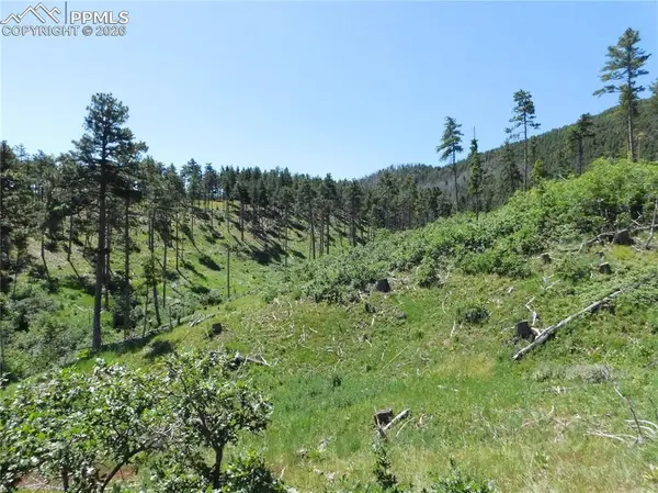 8249 Yuma CIR, Larkspur, CO 80118