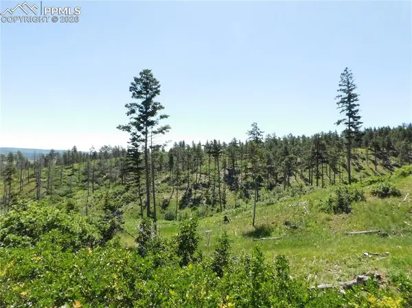 8249 Yuma CIR, Larkspur, CO 80118