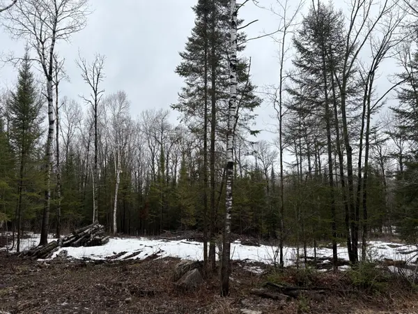 PT E1/2 Hillcrest RD, East Ferris, ON P0H 1B0