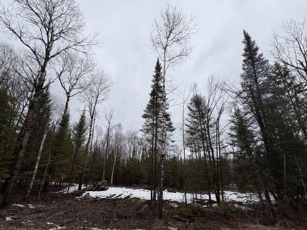 PT E1/2 Hillcrest RD, East Ferris, ON P0H 1B0