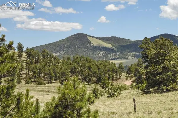 129 Eagle Nest TRL, Guffey, CO 80820