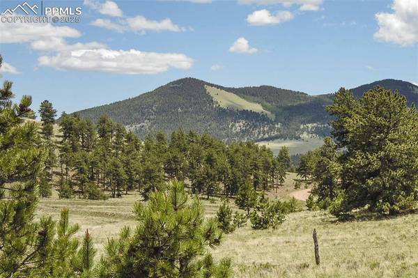 129 Eagle Nest TRL, Guffey, CO 80820