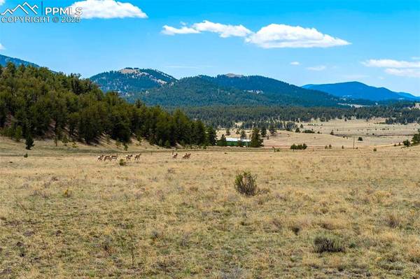 129 Eagle Nest TRL, Guffey, CO 80820