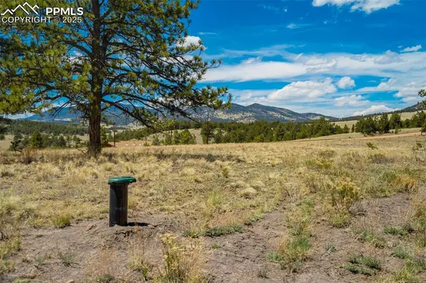 129 Eagle Nest TRL, Guffey, CO 80820