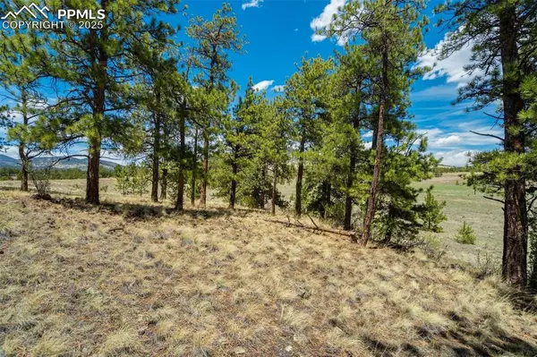 129 Eagle Nest TRL, Guffey, CO 80820