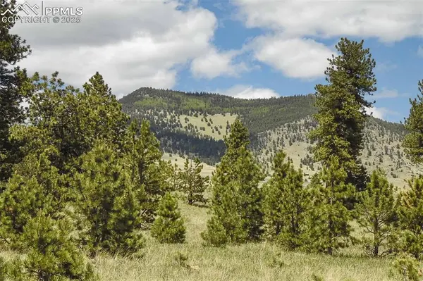 129 Eagle Nest TRL, Guffey, CO 80820