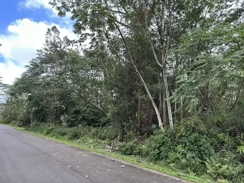 KUPONO ST, Pahoa, HI 96778