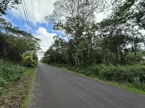 KUPONO ST, Pahoa, HI 96778