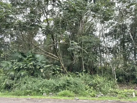 KUPONO ST, Pahoa, HI 96778
