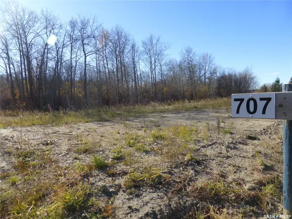 707 Willow BAY, Mervin Rm No.499, SK S0M 0H0