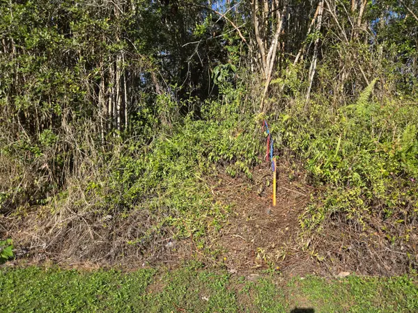 HIBISCUS DR, Pahoa, HI 96778