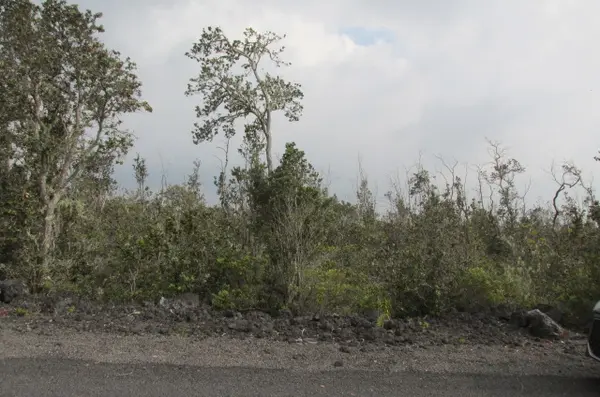 Ocean View, HI 96737