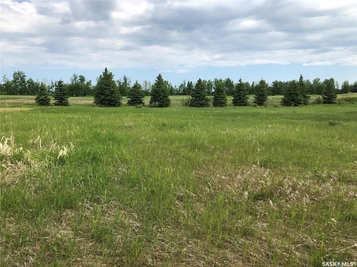 19 Northern Meadows WAY, Goodsoil, SK S0M 1A0