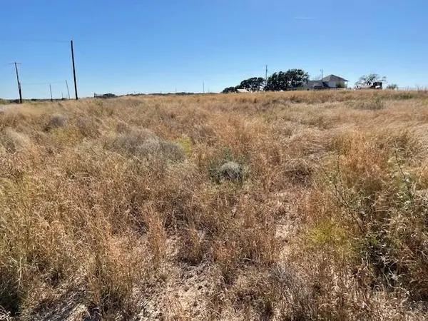 TBD CR 333, Blanket, TX 76432