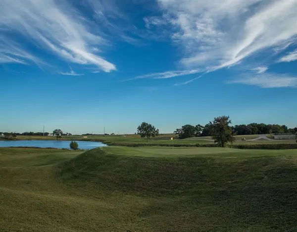 1055 Birdie Street, Gunter, TX 75058