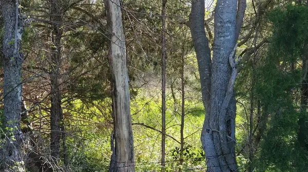 13700 Gholson Road, Gholson, TX 76705