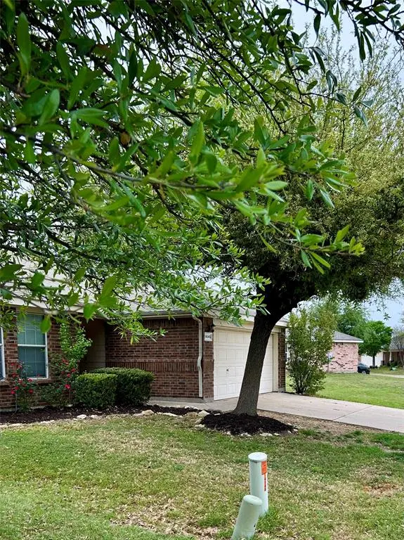 14145 Snaffle Bit Trail, Fort Worth, TX 76052