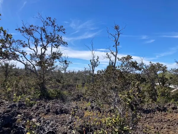 ANUENUE DR, Ocean View, HI 96737