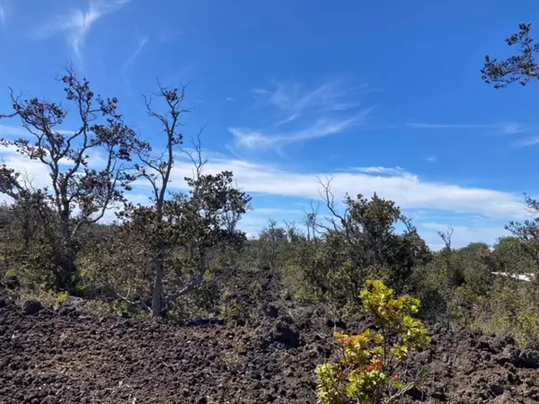 ANUENUE DR, Ocean View, HI 96737