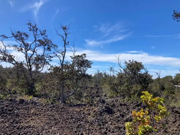 ANUENUE DR, Ocean View, HI 96737