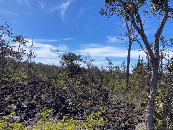 ANUENUE DR, Ocean View, HI 96737